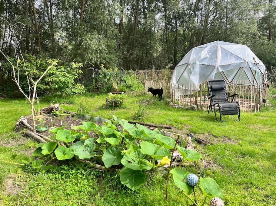 Homestay Lieblingsplatz - An Der Liebesinsel